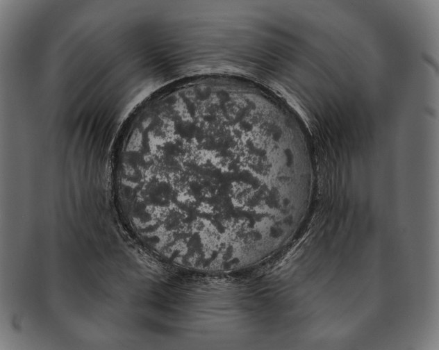 X0000091190975200709061010