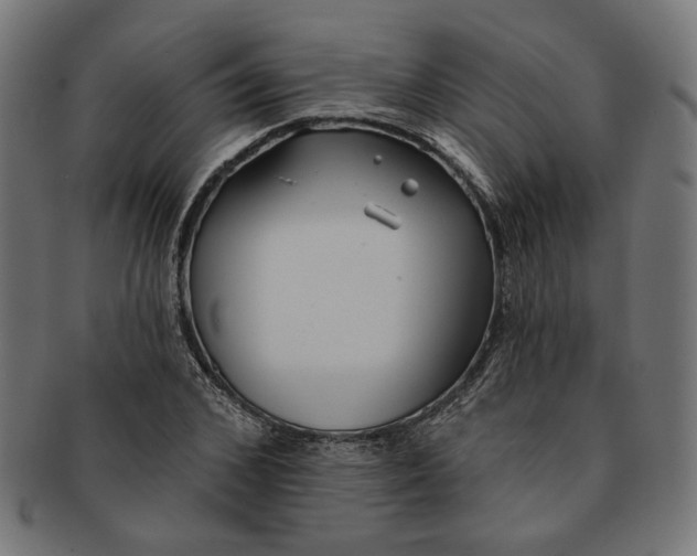 X0000091190976200709061010