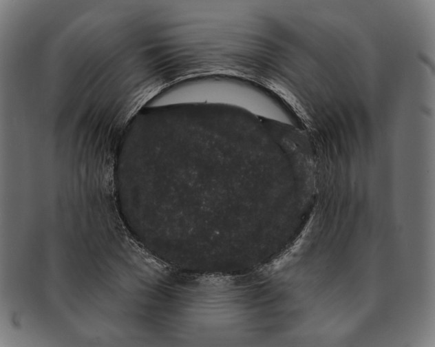 X0000091190977200709061010