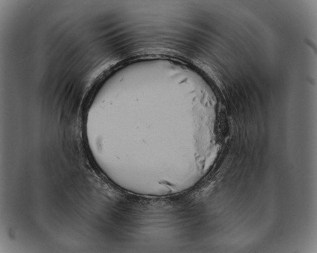 X0000091190979200709061010