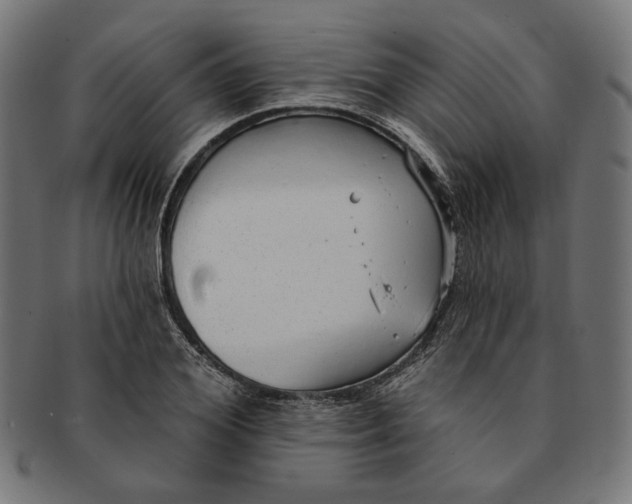 X0000091190980200709061010