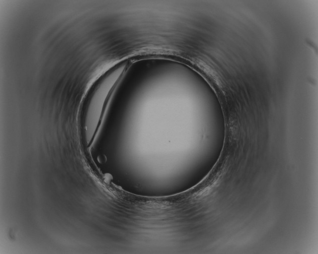 X0000091190981200709061010