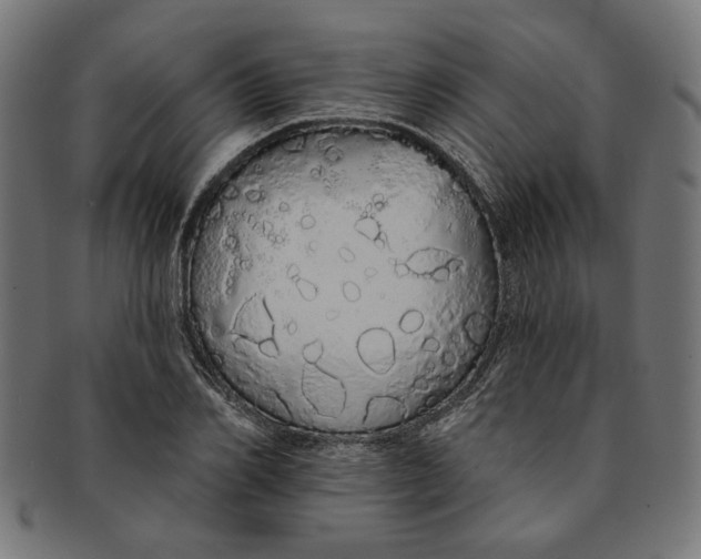 X0000091190982200709061010