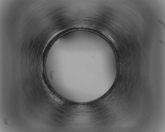 X0000091190984200709061010