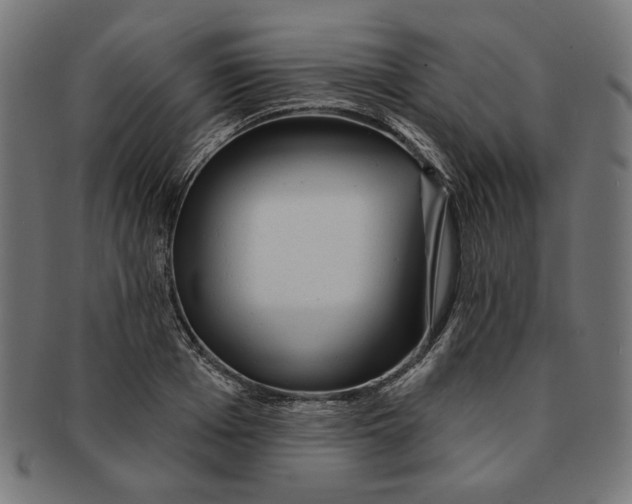 X0000091190985200709061010