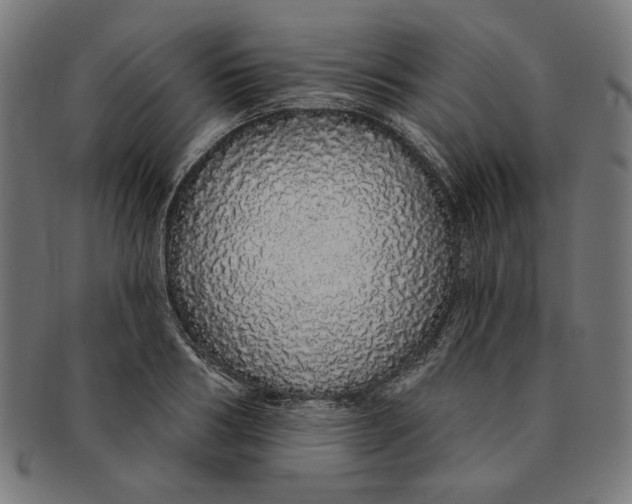 X0000091190986200709061010