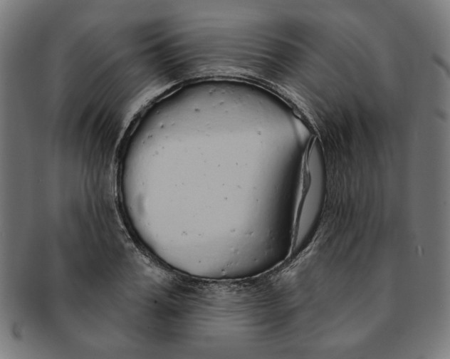 X0000091190987200709061010