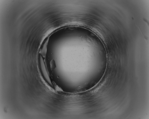 X0000091190989200709061010