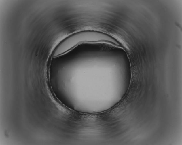 X0000091190991200709061010