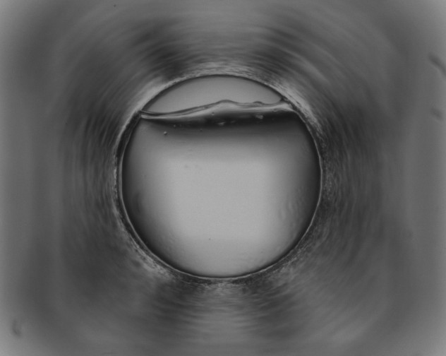 X0000091190992200709061010