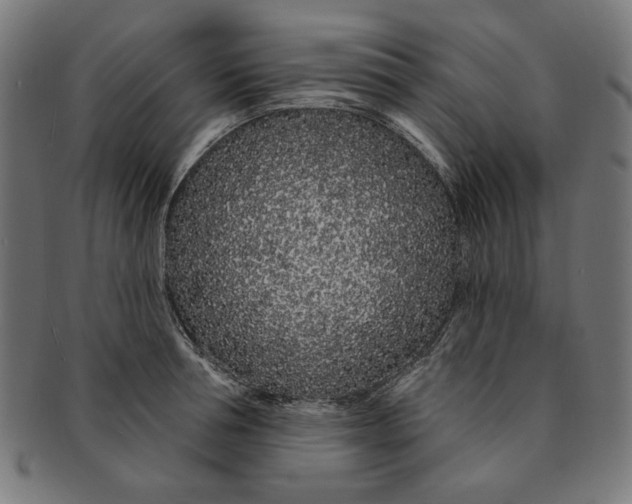 X0000091190994200709061010