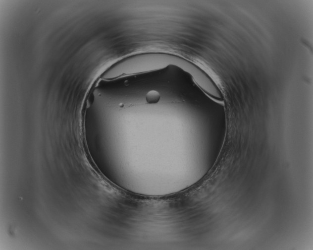 X0000091190996200709061010