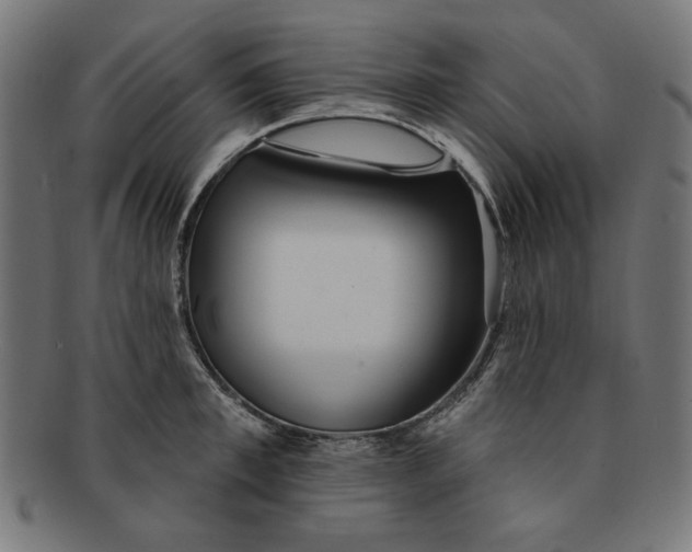 X0000091190997200709061010