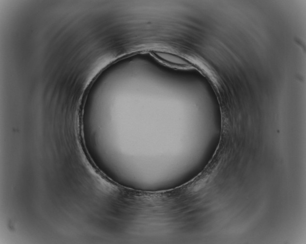 X0000091190999200709061010