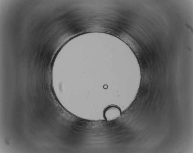 X0000091191000200709061010