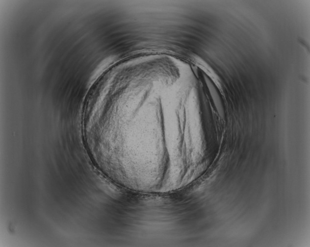 X0000091191002200709061010