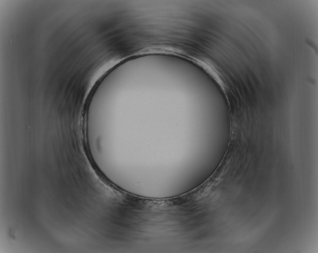 X0000091191003200709061010