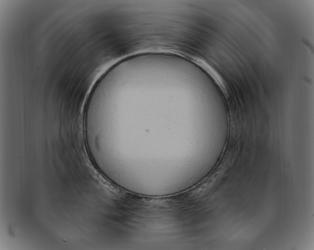 X0000091191004200709061010