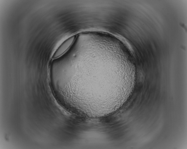 X0000091191006200709061010