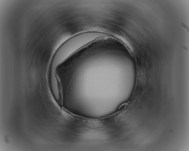 X0000091191007200709061010