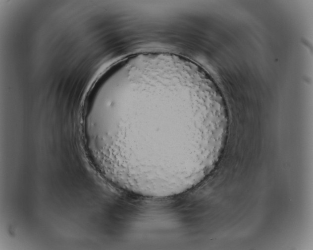 X0000091191008200709061010