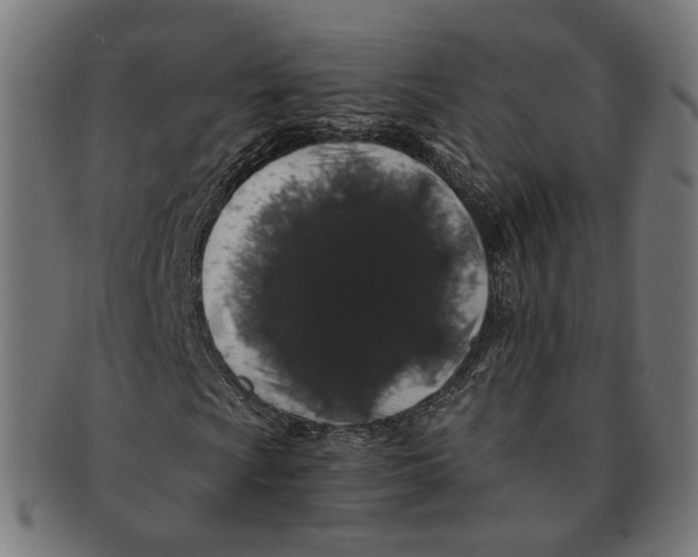 X0000091191009200709061009