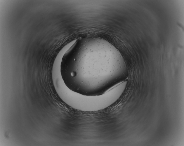 X0000091191010200709061009