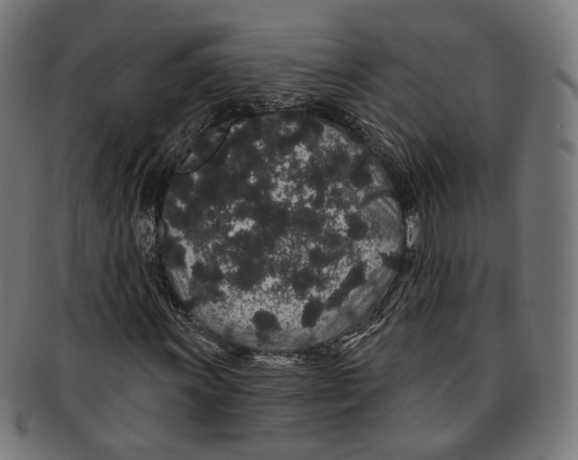 X0000091191011200709061009