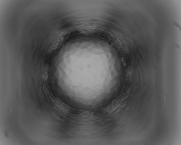 X0000091191012200709061009