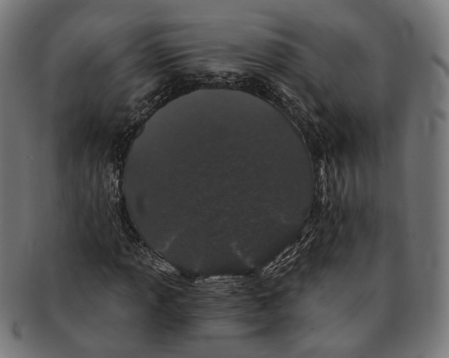 X0000091191013200709061009