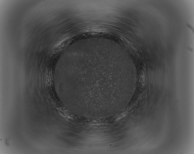 X0000091191014200709061009