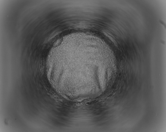 X0000091191015200709061009