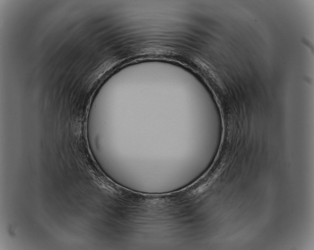 X0000091191017200709061009