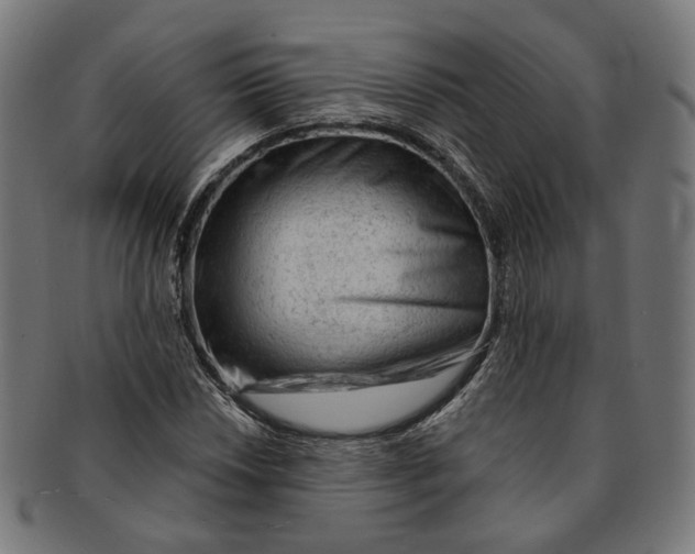 X0000091191018200709061009