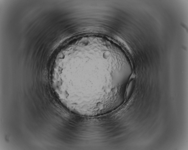 X0000091191019200709061009