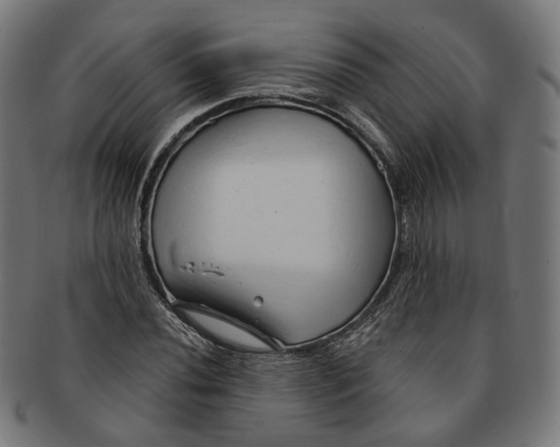 X0000091191020200709061009