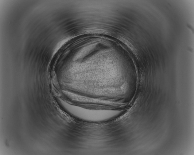 X0000091191022200709061009