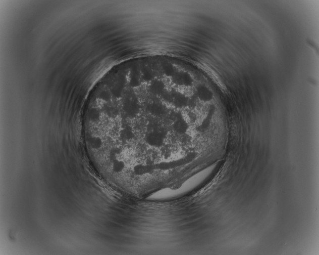 X0000091191023200709061009