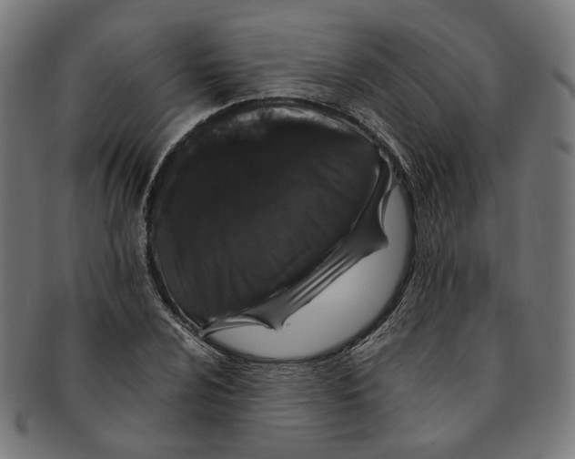 X0000091191024200709061009