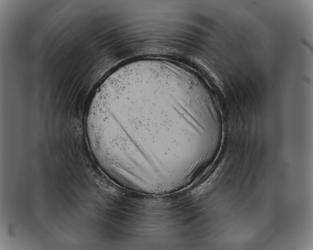 X0000091191025200709061009