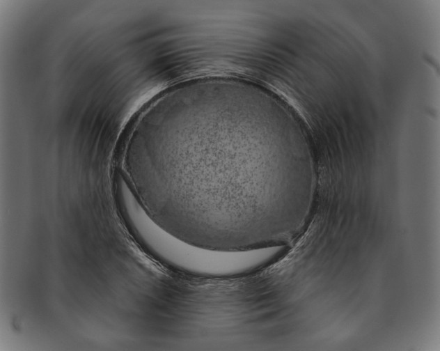 X0000091191026200709061009