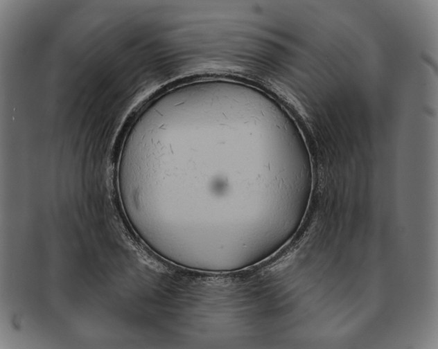 X0000091191029200709061009
