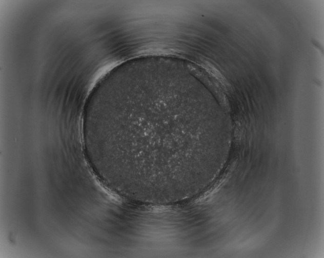 X0000091191030200709061009