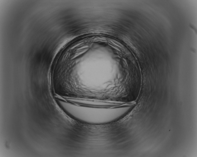 X0000091191032200709061010