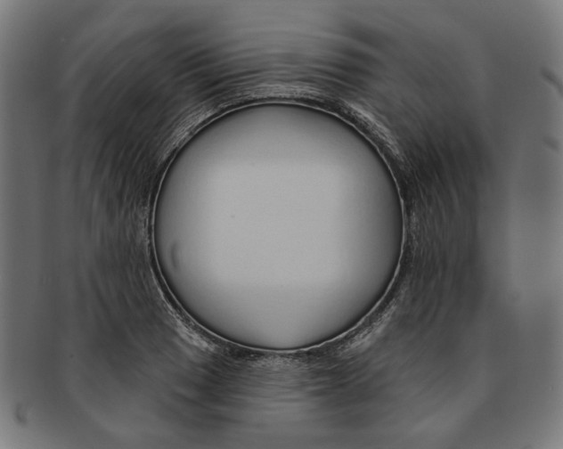 X0000091191033200709061010