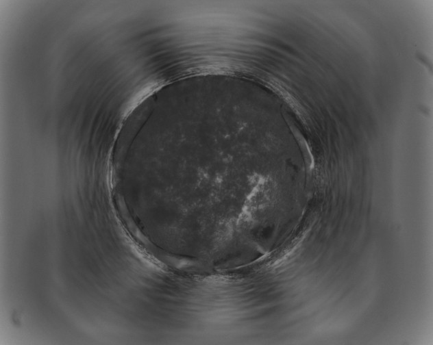 X0000091191034200709061010