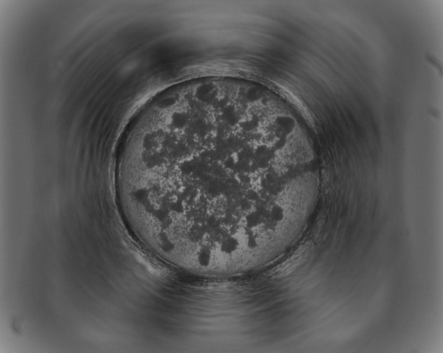 X0000091191035200709061010