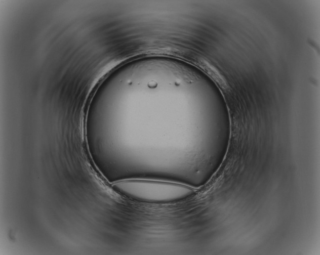 X0000091191036200709061010