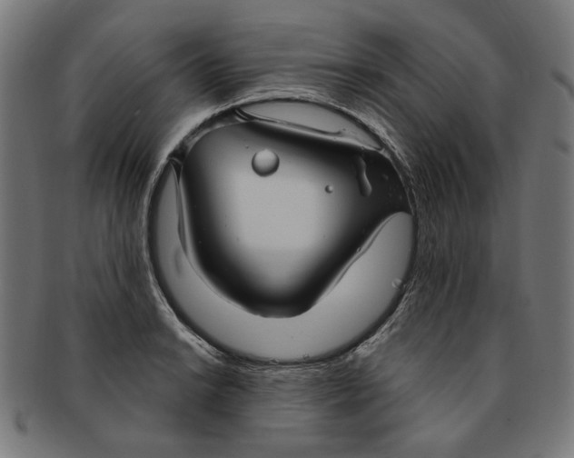 X0000091191038200709061010