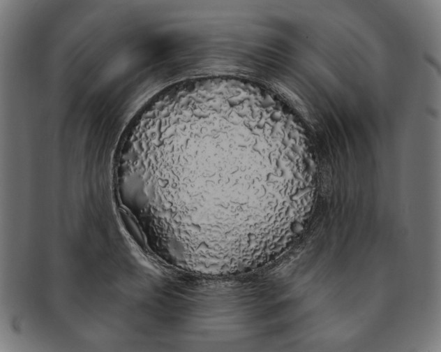 X0000091191039200709061010